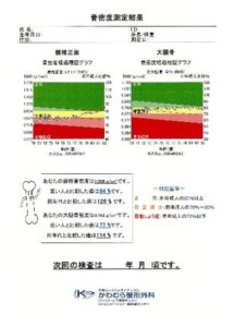 骨密度01